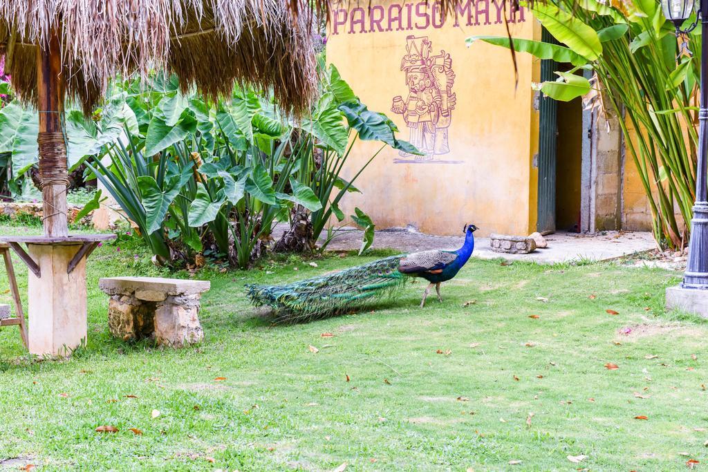 Ecohotel Spa Boutique Itzamaltun Izamal Exterior foto