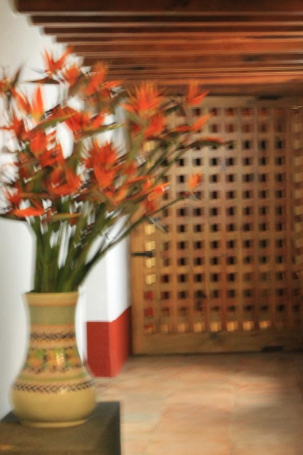 Ecohotel Spa Boutique Itzamaltun Izamal Exterior foto