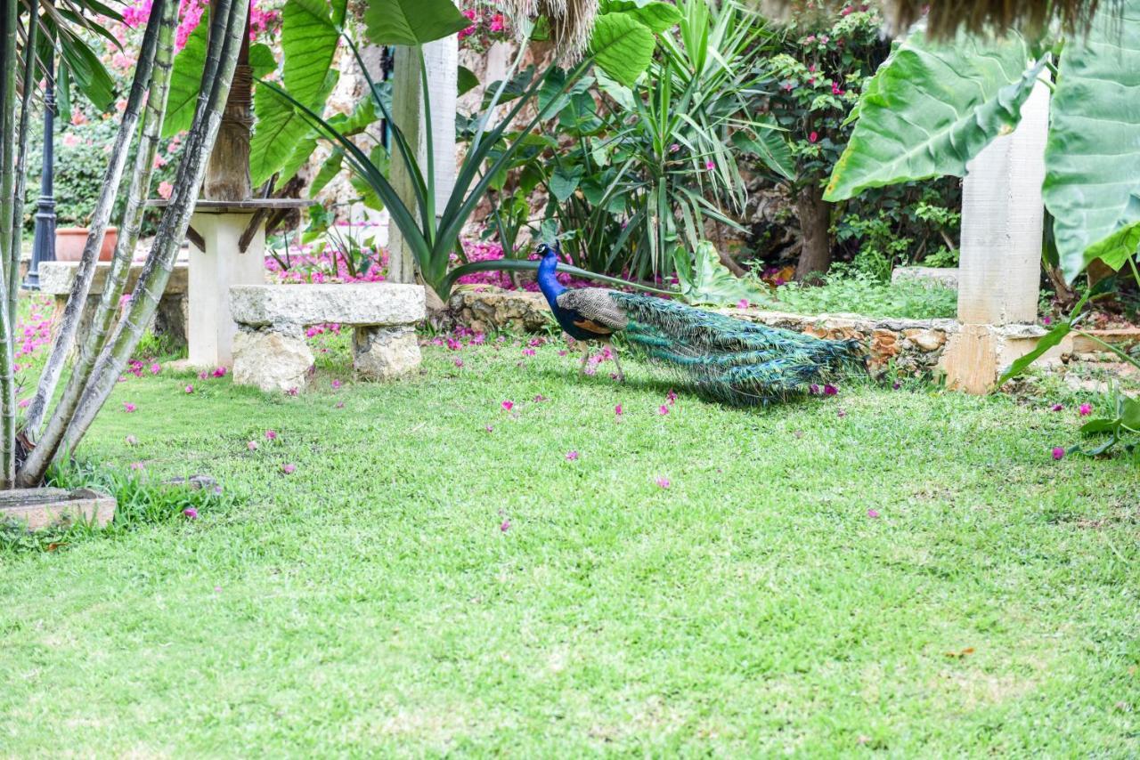 Ecohotel Spa Boutique Itzamaltun Izamal Exterior foto